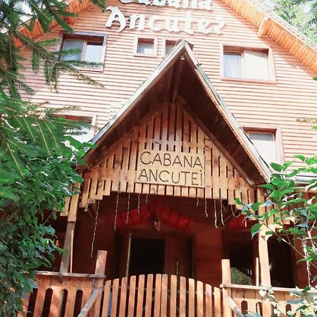 Cabana Ancutei Rucăr Zewnętrze zdjęcie
