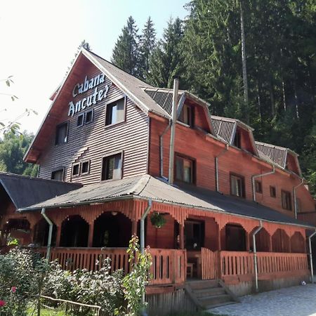 Cabana Ancutei Rucăr Zewnętrze zdjęcie