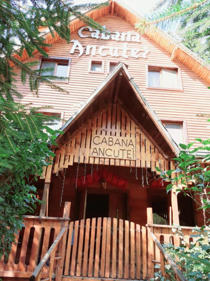 Cabana Ancutei Rucăr Zewnętrze zdjęcie