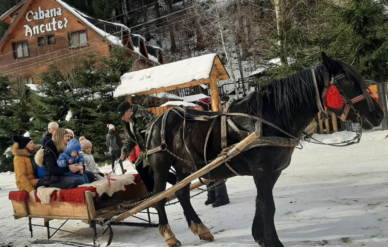 Cabana Ancutei Rucăr Zewnętrze zdjęcie