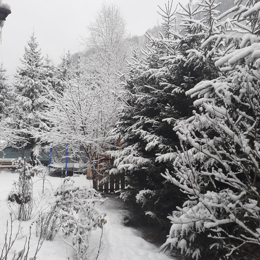 Cabana Ancutei Rucăr Zewnętrze zdjęcie