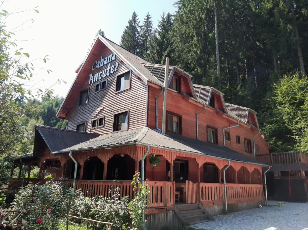 Cabana Ancutei Rucăr Zewnętrze zdjęcie