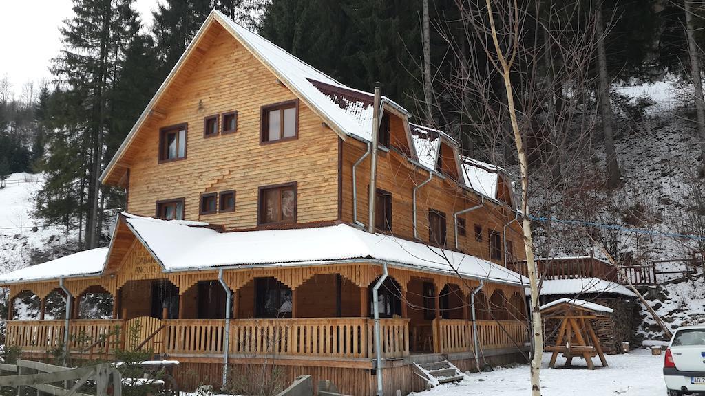 Cabana Ancutei Rucăr Zewnętrze zdjęcie
