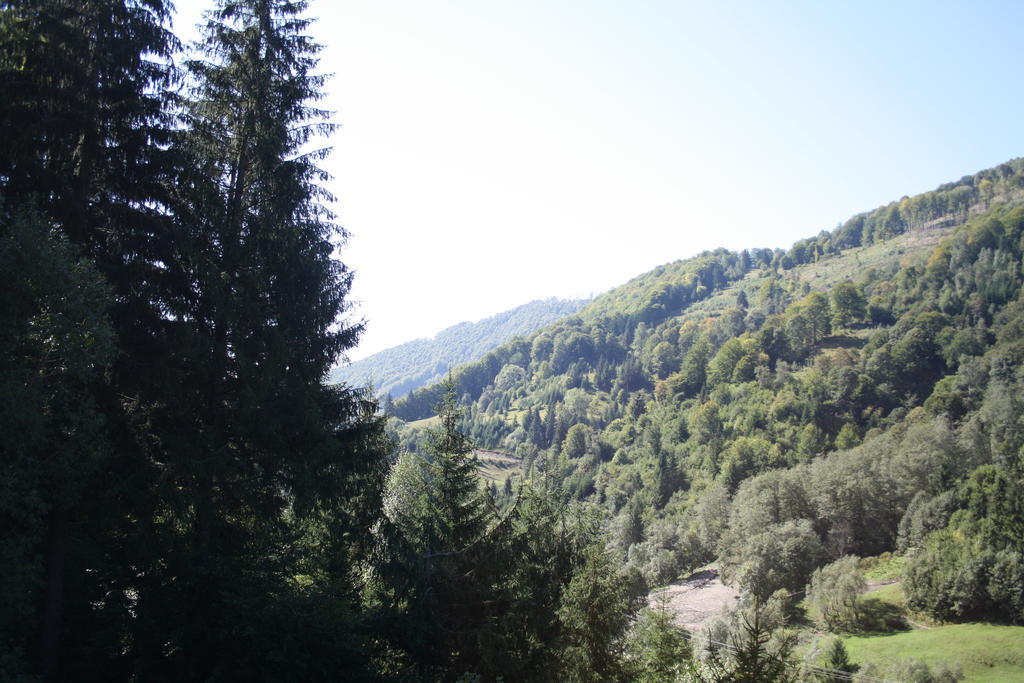 Cabana Ancutei Rucăr Zewnętrze zdjęcie