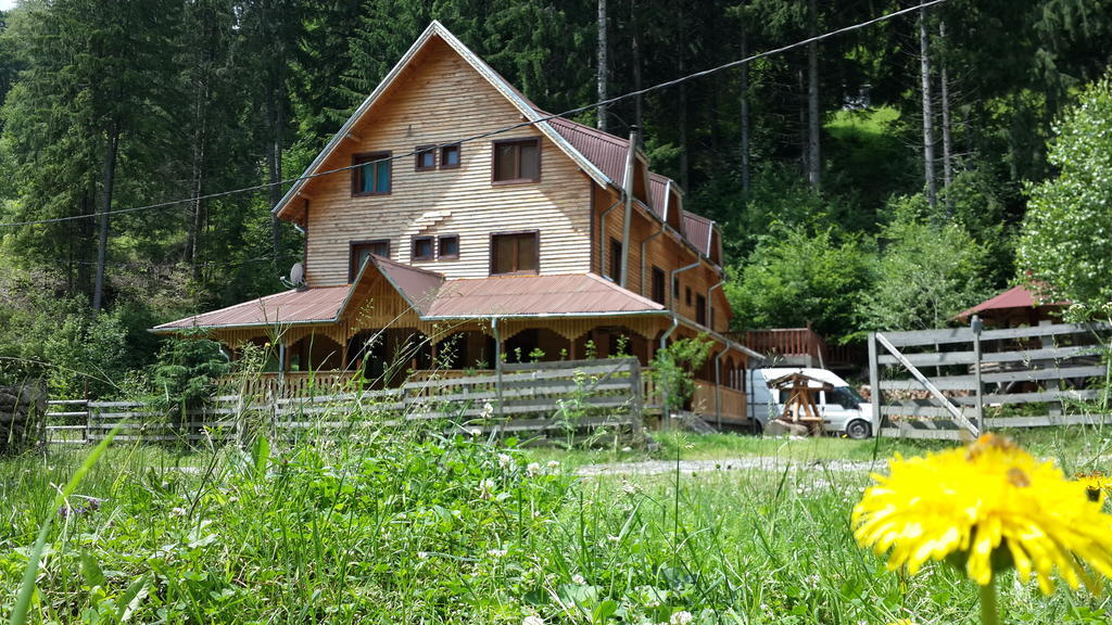 Cabana Ancutei Rucăr Zewnętrze zdjęcie
