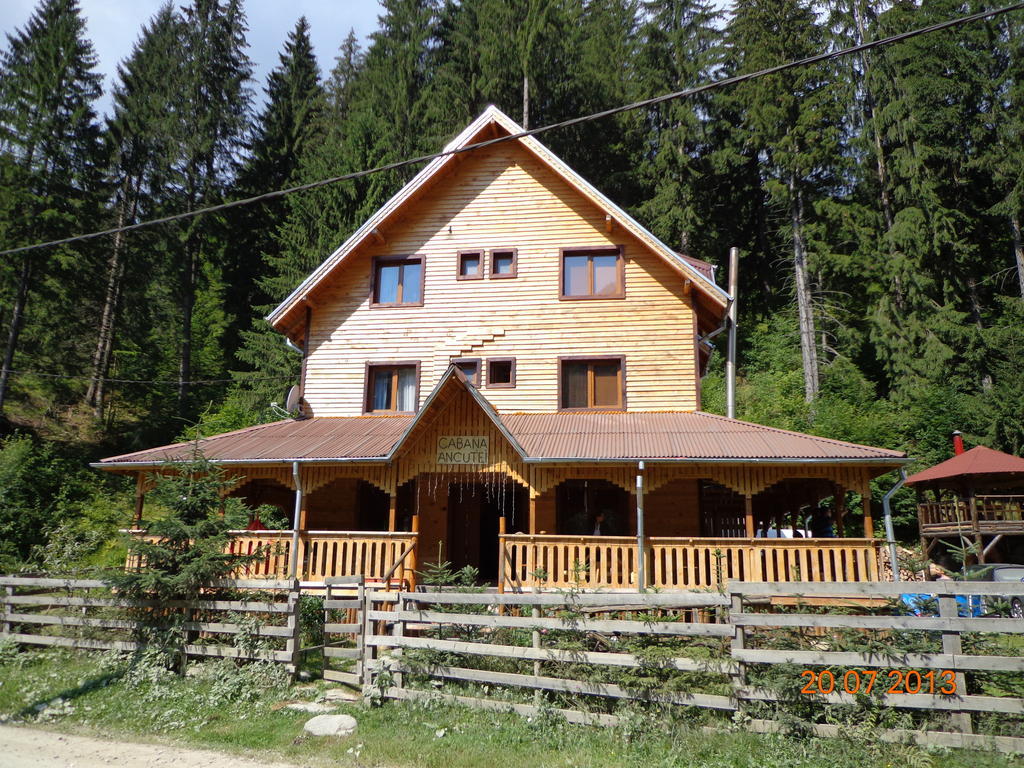 Cabana Ancutei Rucăr Zewnętrze zdjęcie