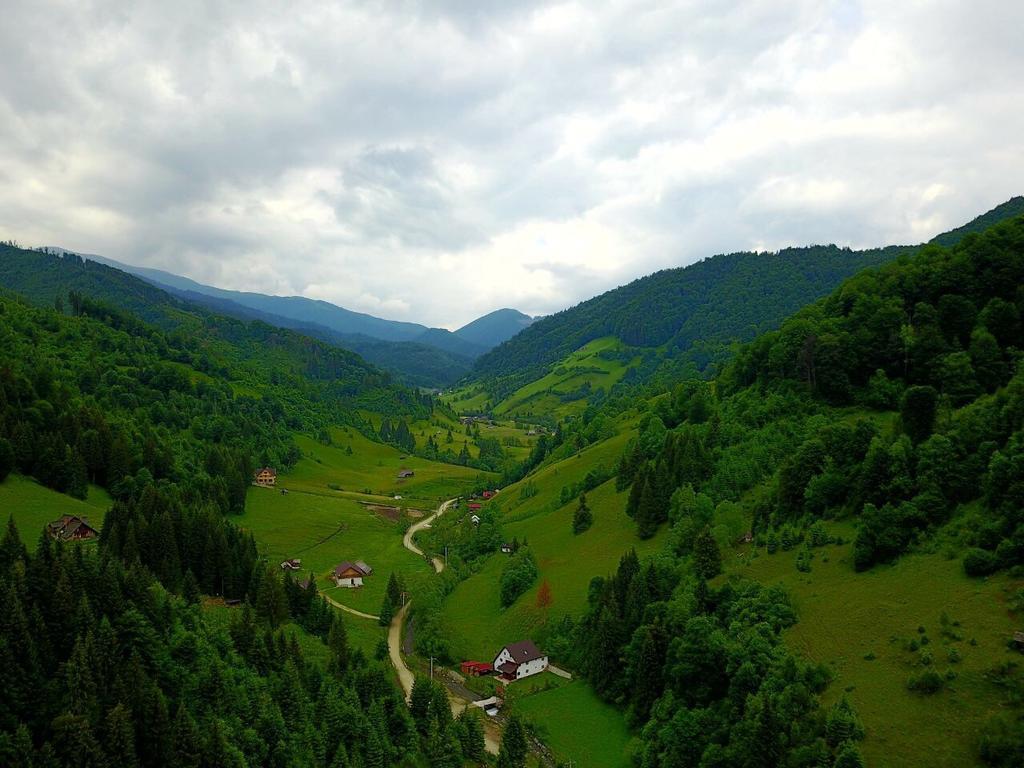 Cabana Ancutei Rucăr Zewnętrze zdjęcie