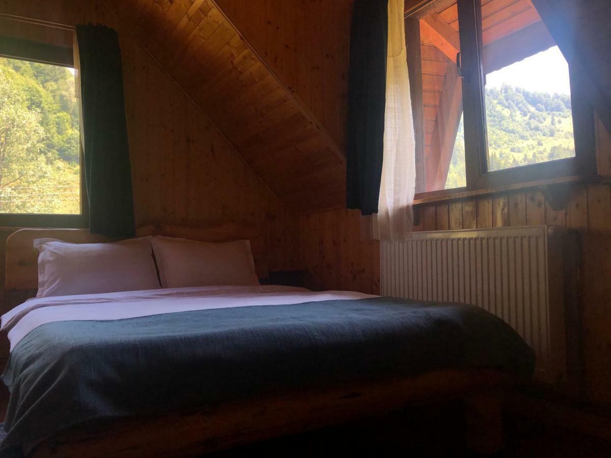 Cabana Ancutei Rucăr Zewnętrze zdjęcie